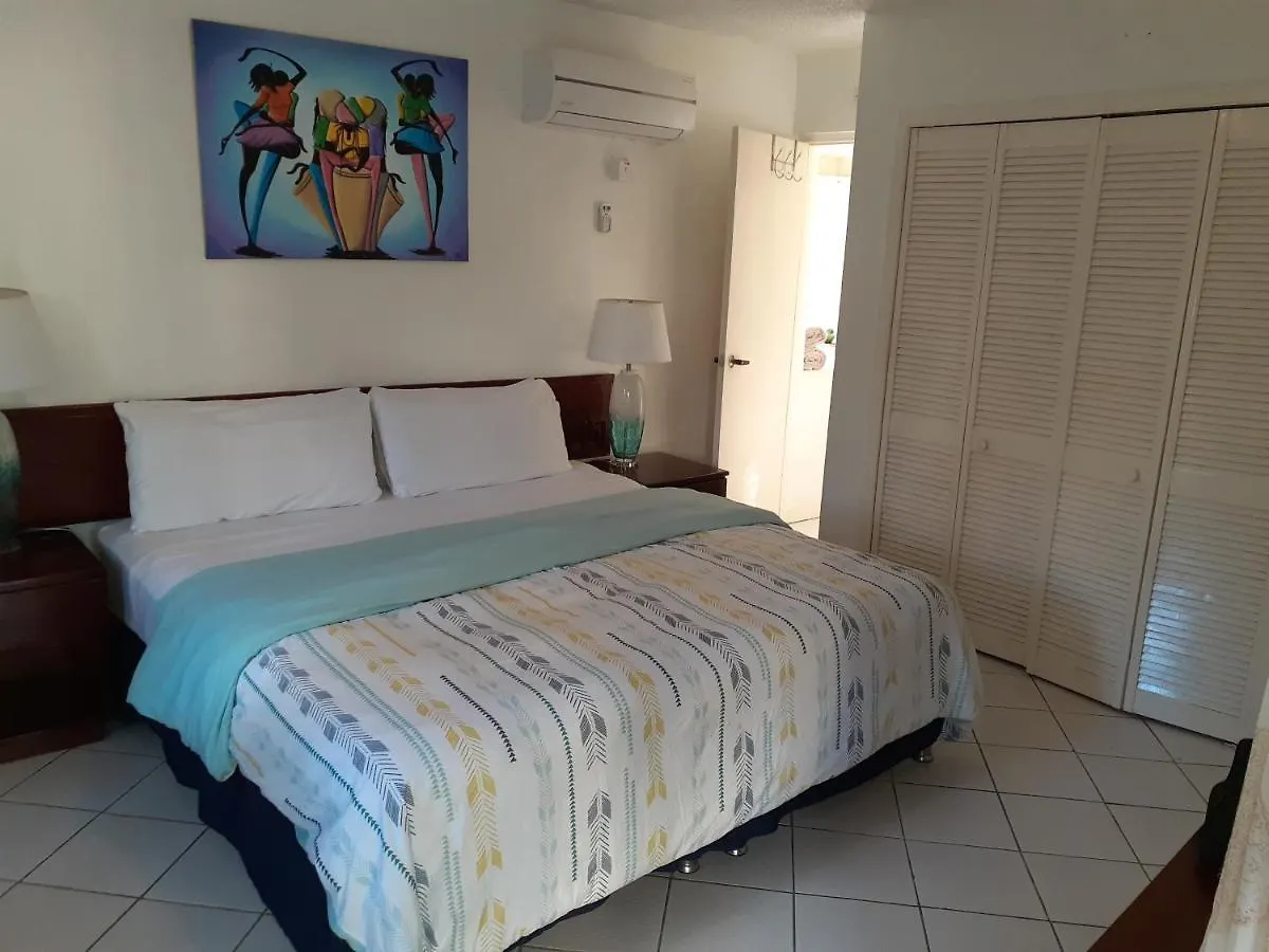 Zander'S Paradise @Mystic Apartment Ocho Rios