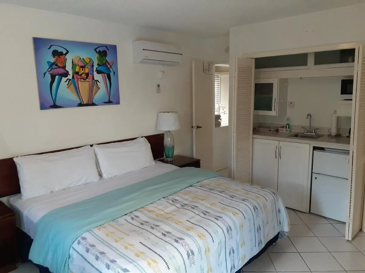 Zander'S Paradise @Mystic Apartment Ocho Rios